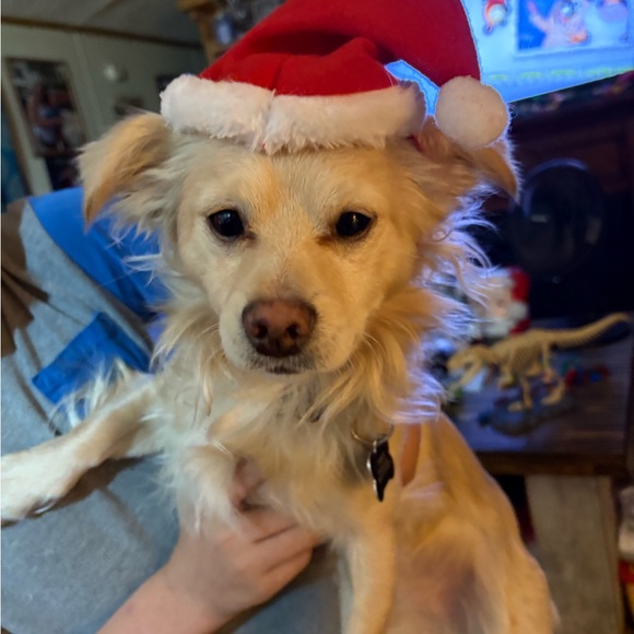 Meet your Posher, Michelle - Picture 5 of 10